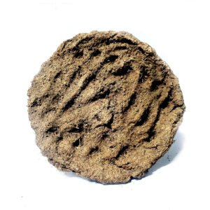Dung Cake - Vishal Coals Premium Products